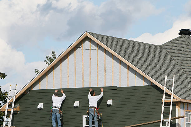 Best Stone Veneer Siding  in Lochbuie, CO